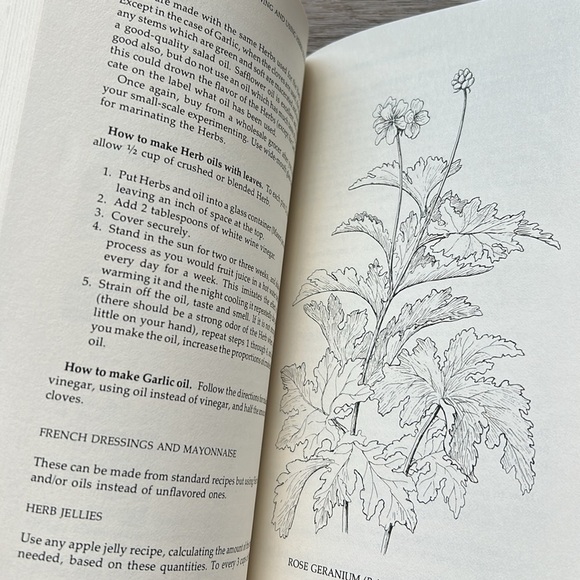 Vintage Herbs Book Growing & Using Herbs Successfully Betty E.M. Jacobs 70s - Picture 15 of 15